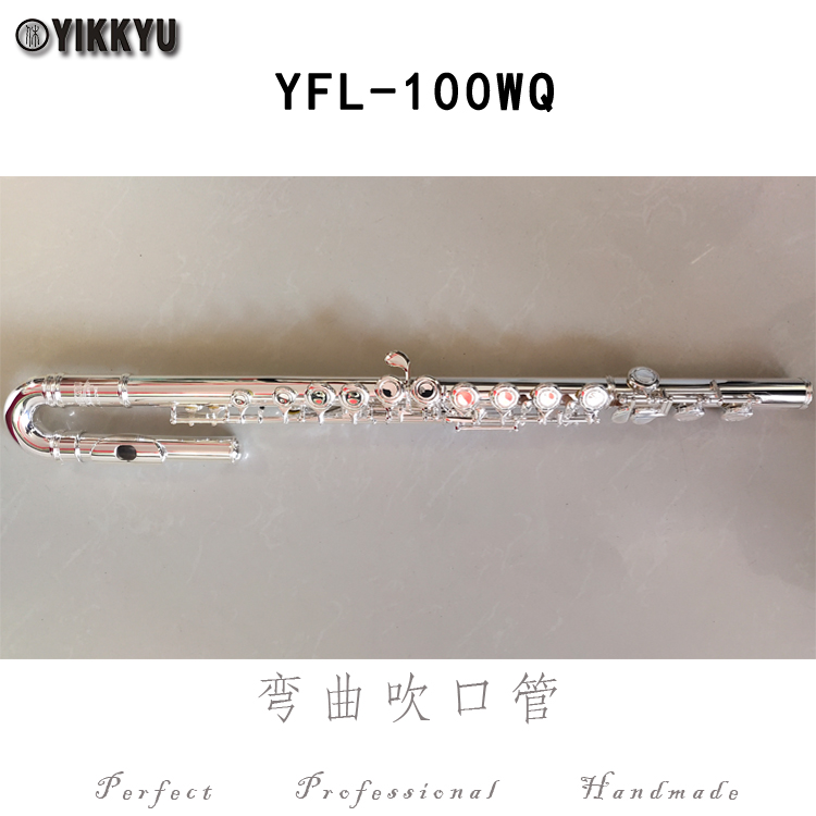 YFL-100WQ